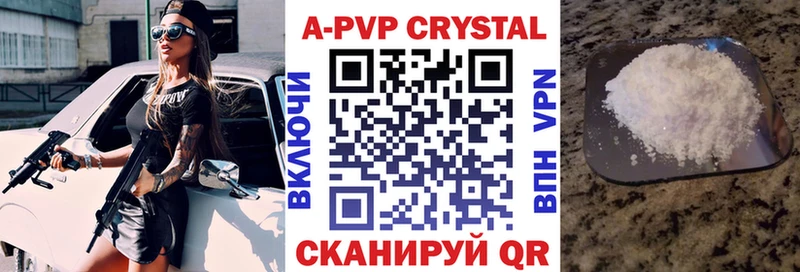 A PVP СК КРИС  Палласовка 