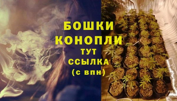 гидропоника Нягань