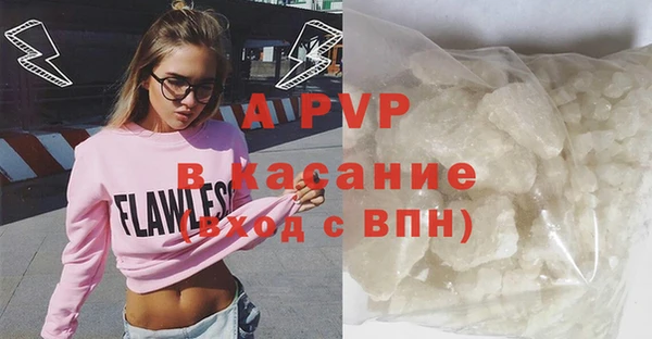 ПСИЛОЦИБИНОВЫЕ ГРИБЫ Новозыбков