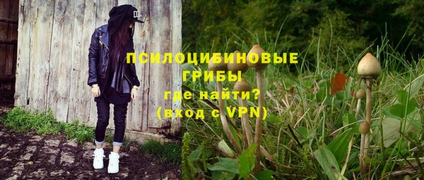 гидропоника Нягань