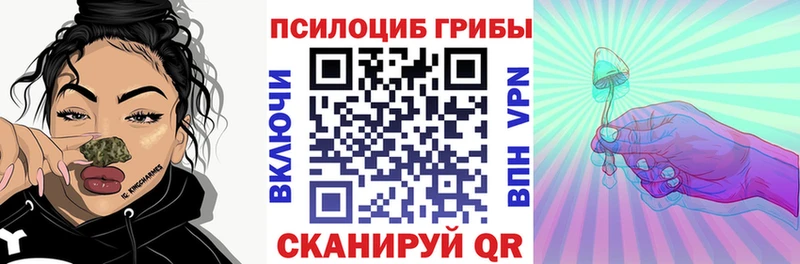 Галлюциногенные грибы мухоморы  где продают наркотики  Палласовка 