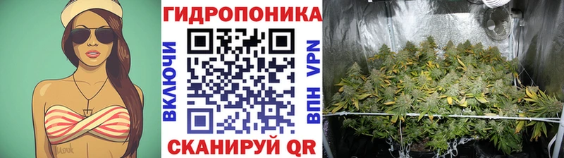 Конопля индика как найти закладки Палласовка